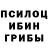 Псилоцибиновые грибы Psilocybine cubensis kreliann