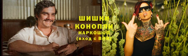 марки lsd Бородино