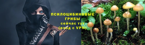дмт Бронницы