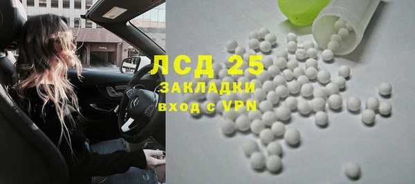 прущие грибы Верея