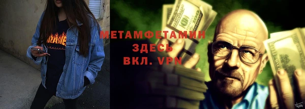 прущие грибы Верея