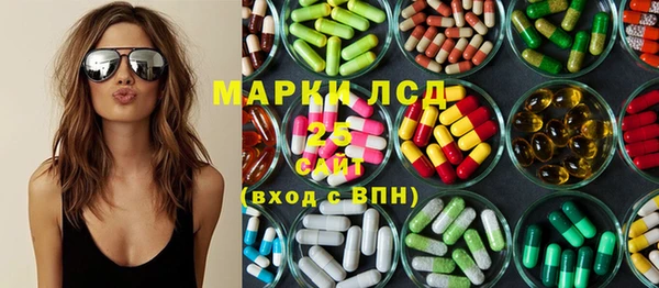 прущие грибы Верея