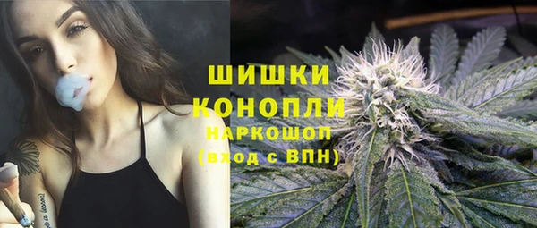 прущие грибы Верея