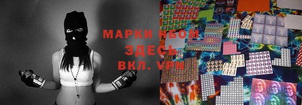 прущие грибы Верея