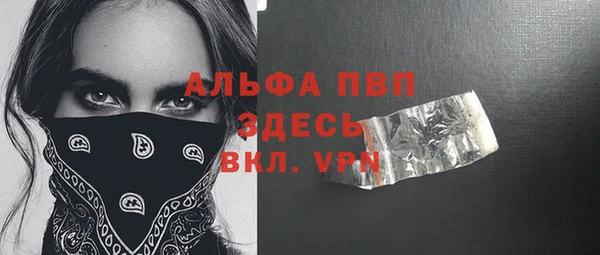 прущие грибы Верея