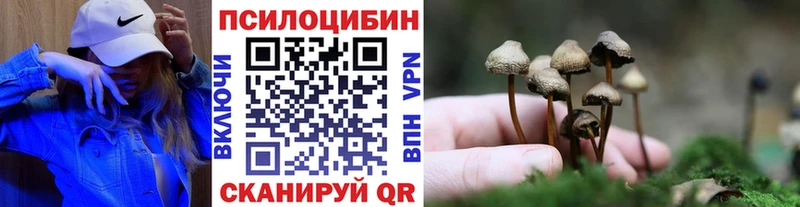 дарнет шоп  Вышний Волочёк  мега зеркало  Псилоцибиновые грибы ЛСД 